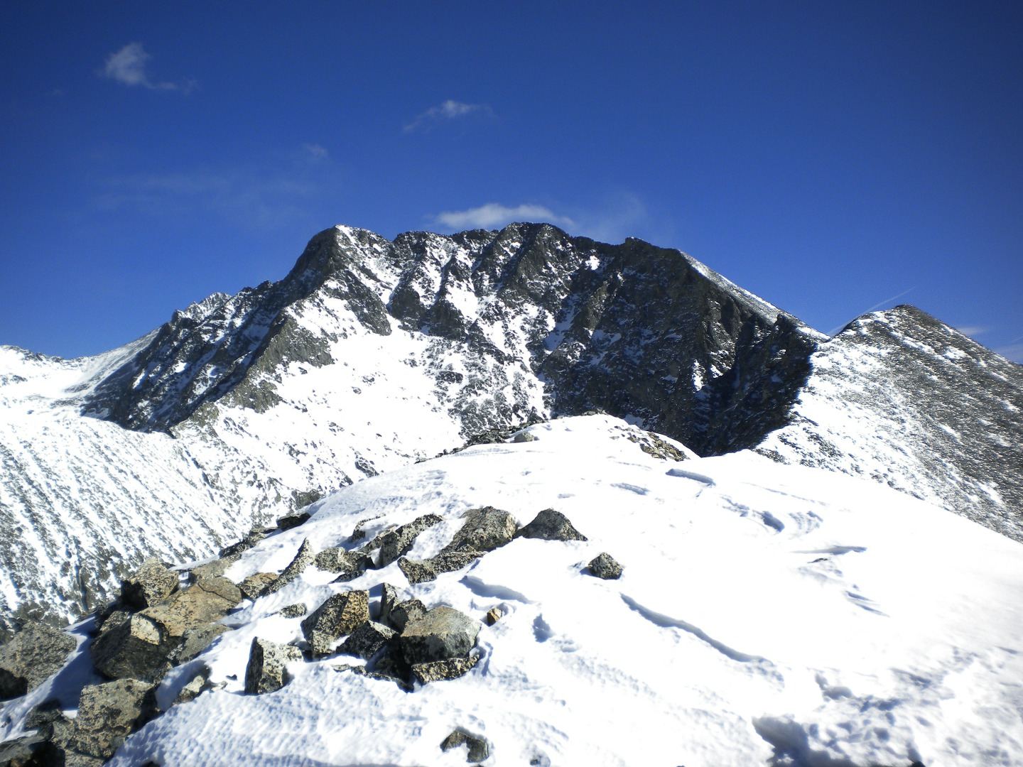 Little Bear to Blanca