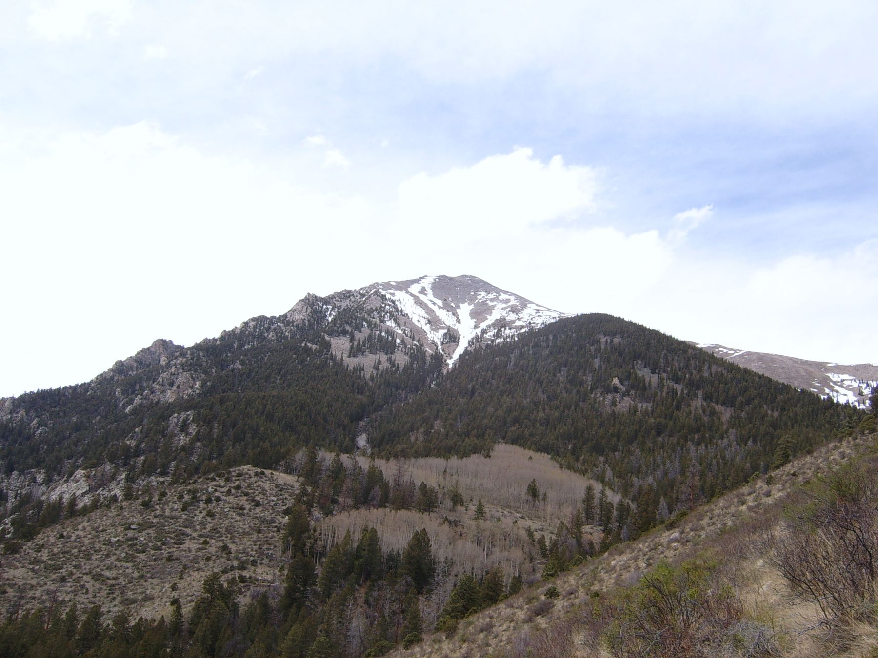Mount Shavano