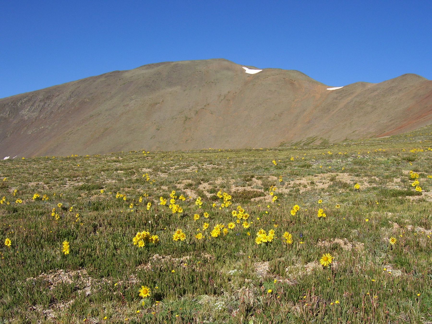 San Luis Peak