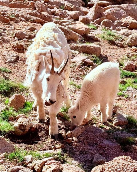 Mount Eolus