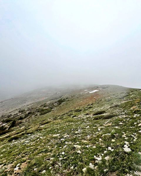 Colorado high country from the trail