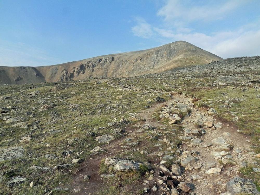 The trail climbing above treeline toward the northeast ridge