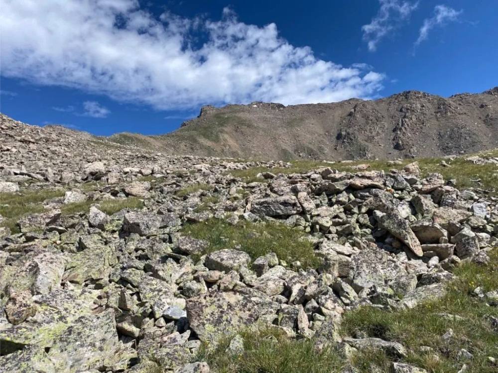 Harvard's summit from the boulders above Bear Lake