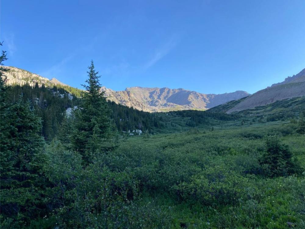 First view of Harvard as the trees thin out in Horn Fork Basin