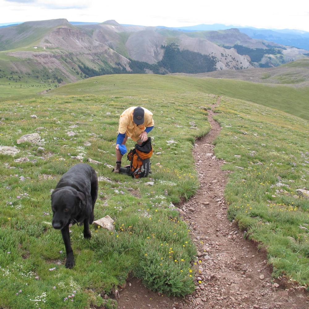 The trail through the upper basin