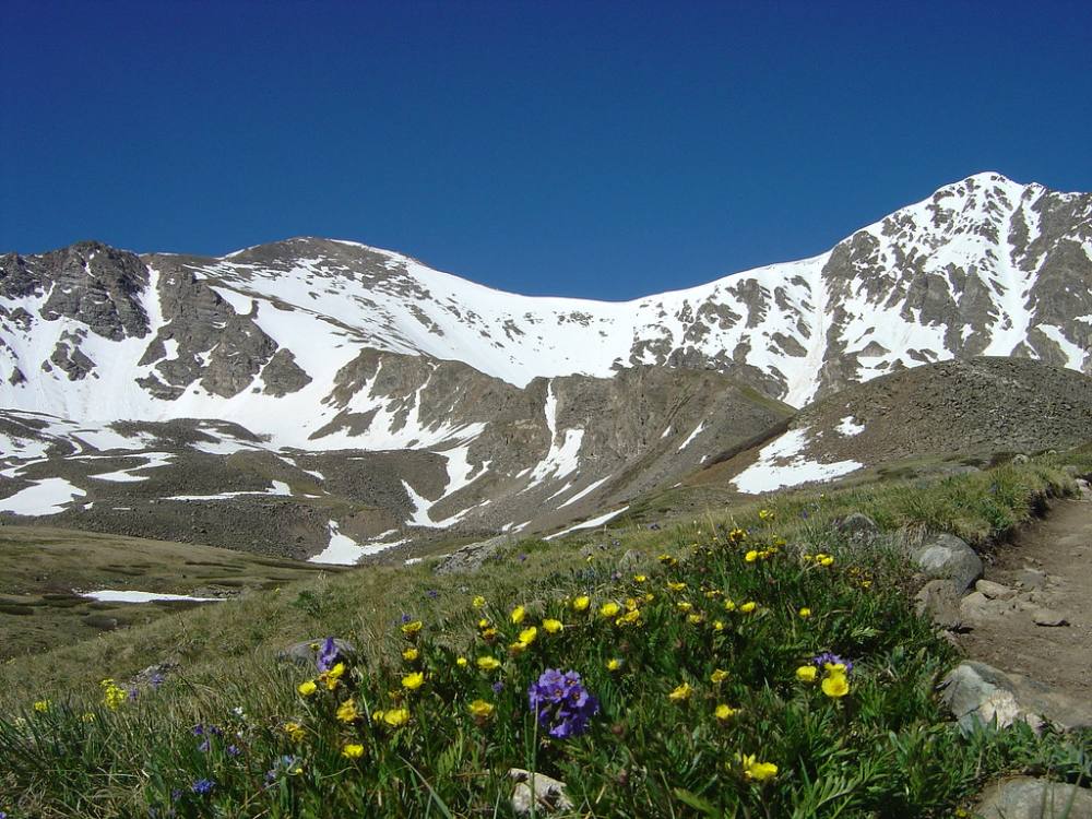 Grays and Torreys from the lower valley