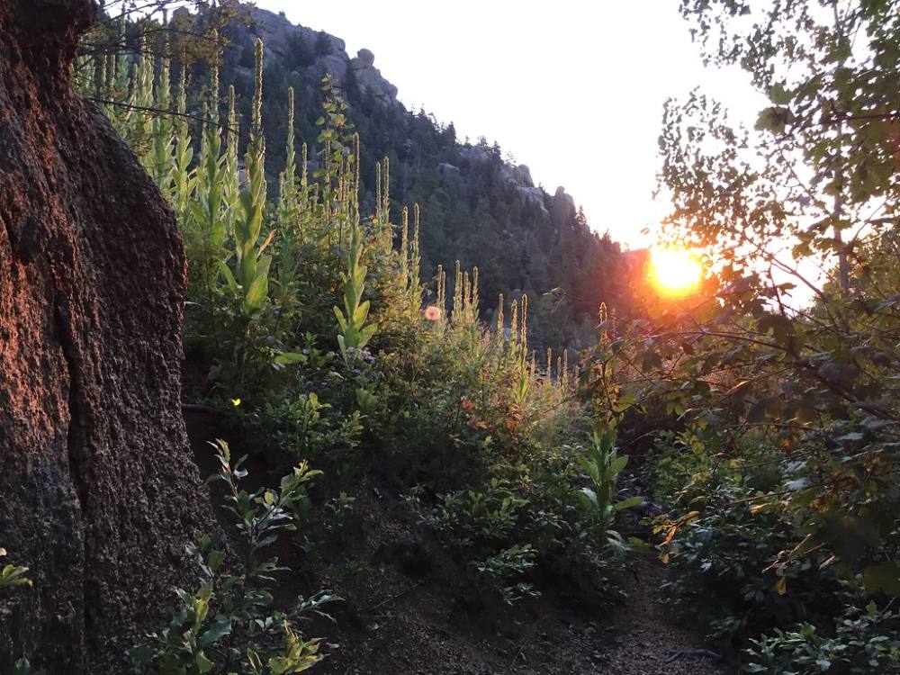 Sunrise on the lower switchbacks