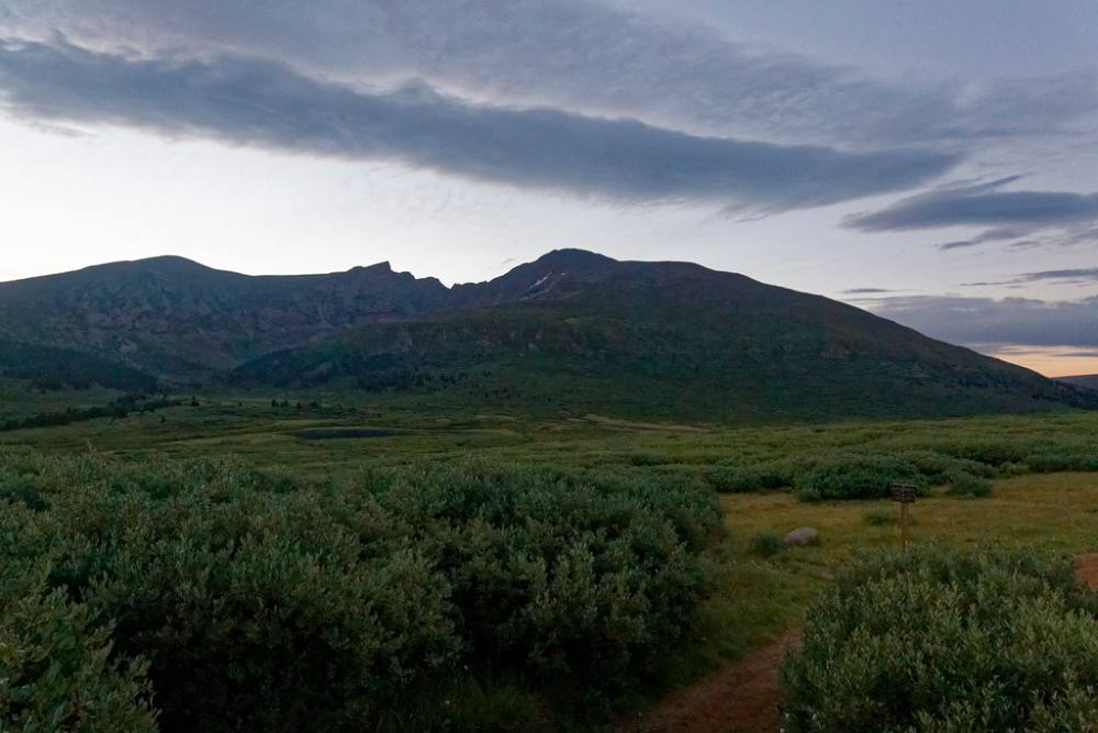 The trail through the willows below the peak